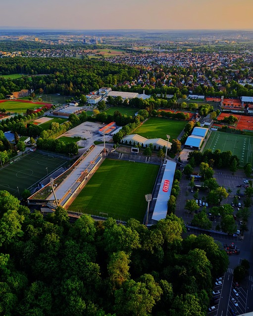 效并不显著 效并不显著