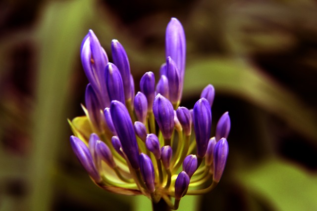 训练重点 训练重点