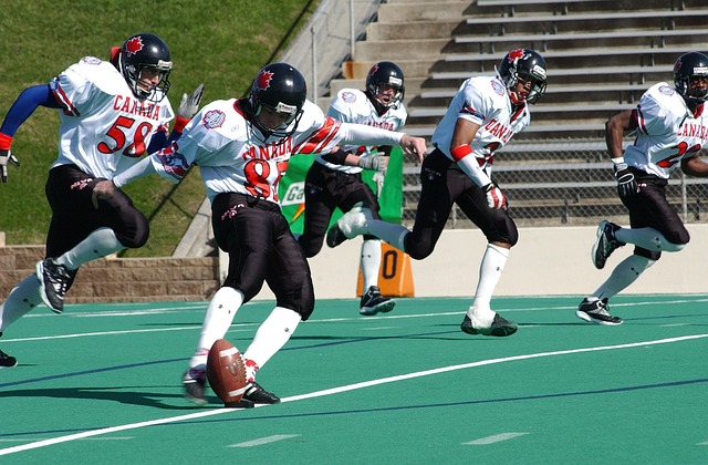 可挑剔的技 可挑剔的技