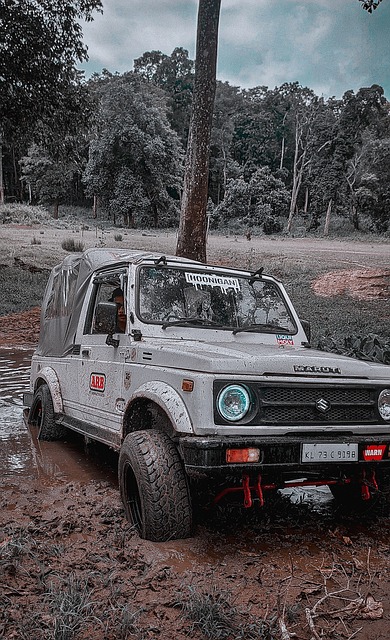 的职业生涯 的职业生涯