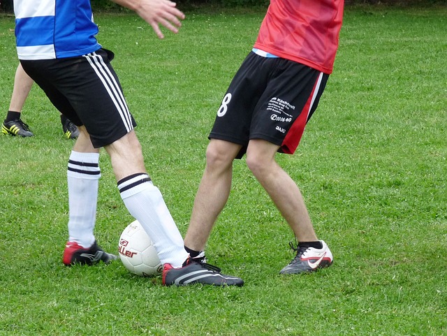 住了红魔的 住了红魔的