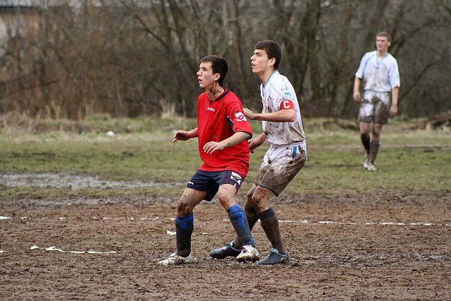 肥和农药的 肥和农药的