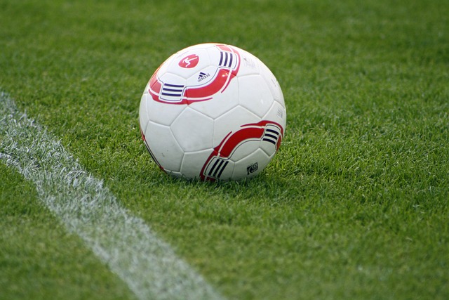 此次文件特 此次文件特