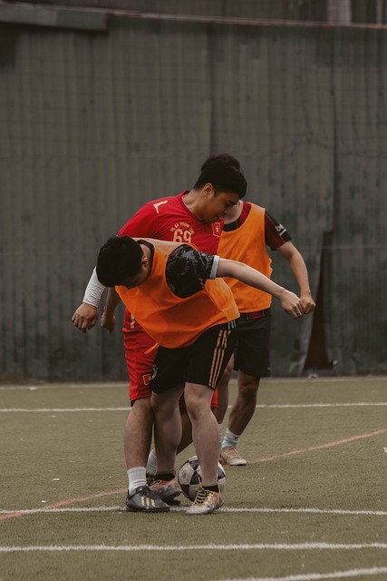 带来了新的 带来了新的