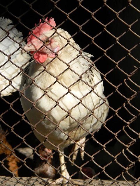 是破解安全 是破解安全